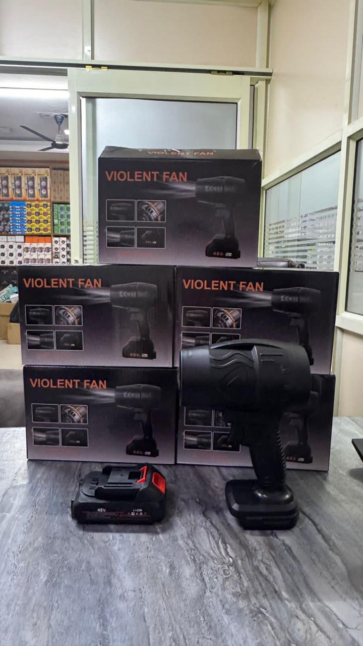 Violent fan